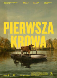 pierwsza krowa