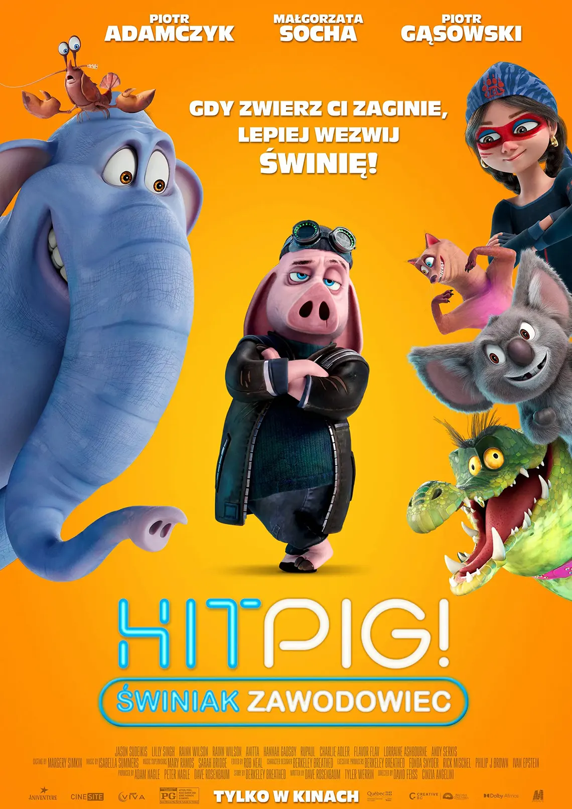 hitpig